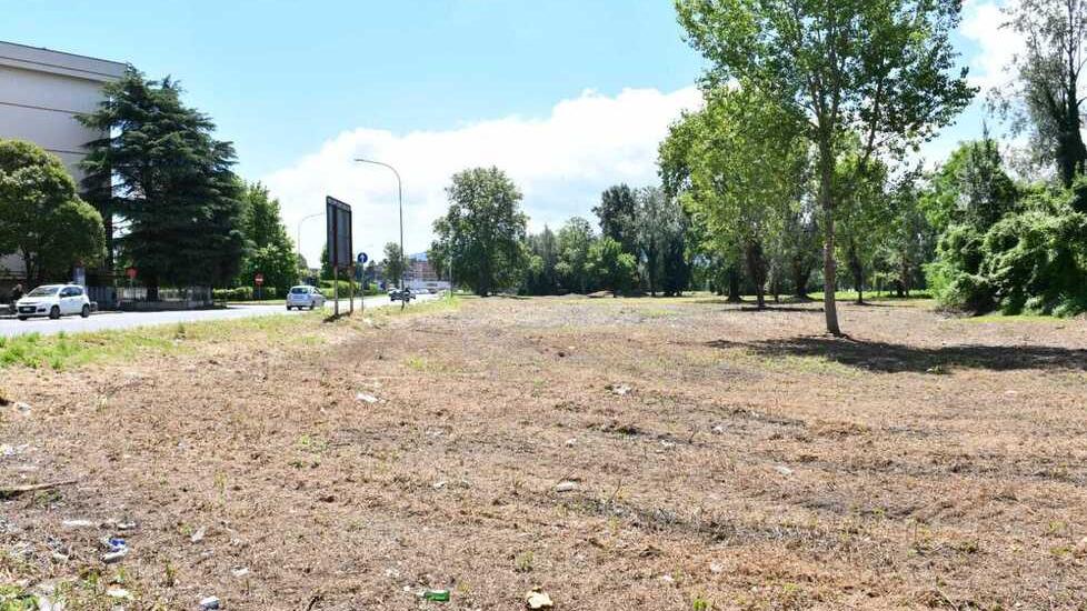 Crac Valore, all’asta i terreni: c’è l’ipotesi dell’agrivoltaico