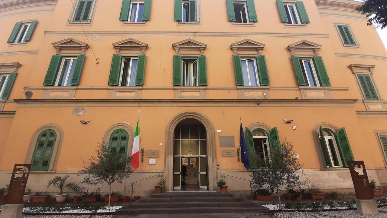Livorno, la storia di Anna e del suo diploma. Mamma Valeria: «Grazie di cuore a tutto il liceo Niccolini Palli»