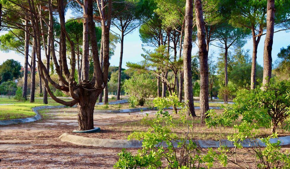 L’area dell’ex Ciclilandia