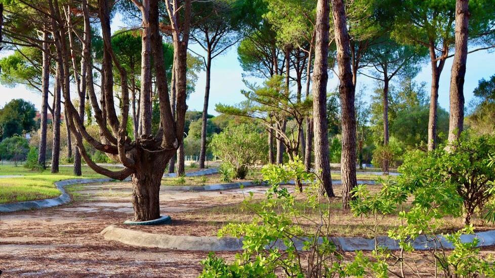 L’area dell’ex Ciclilandia