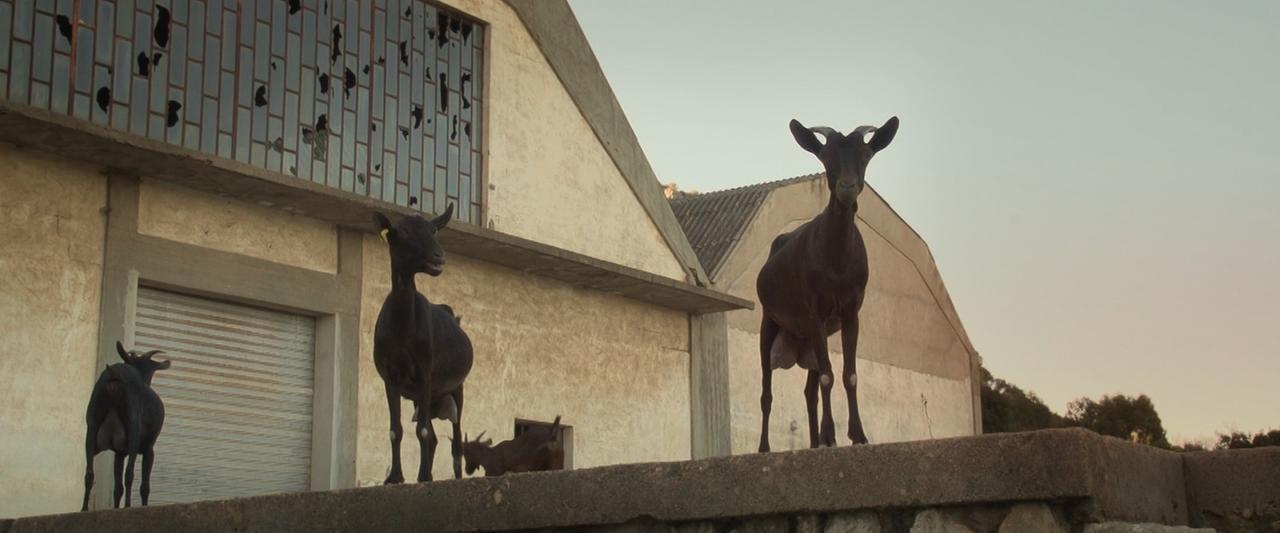 
	Una scena del film "Domus de janas" di Myriam Raccah

