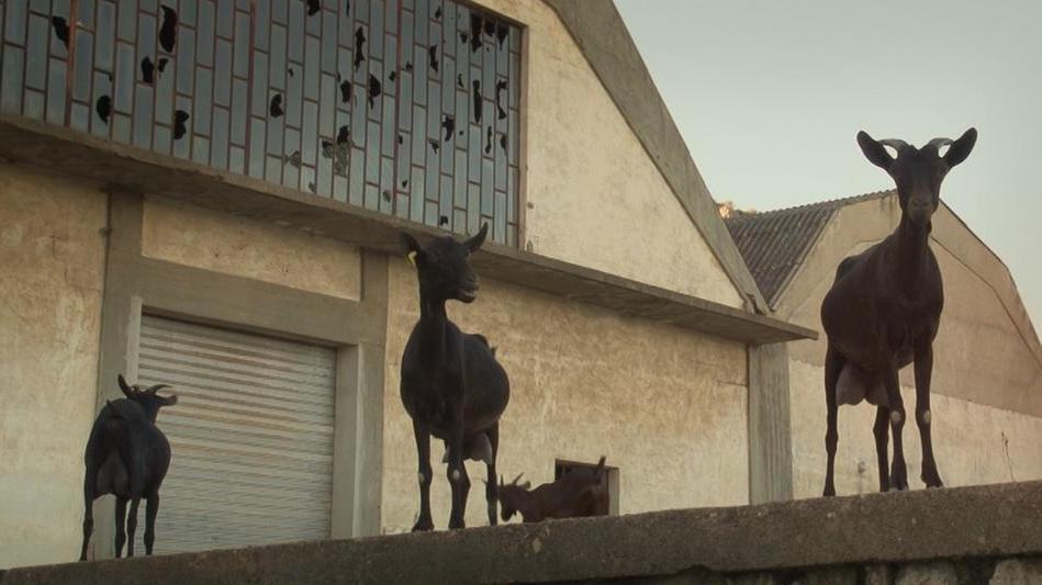 Una scena del film "Domus de janas" di Myriam Raccah