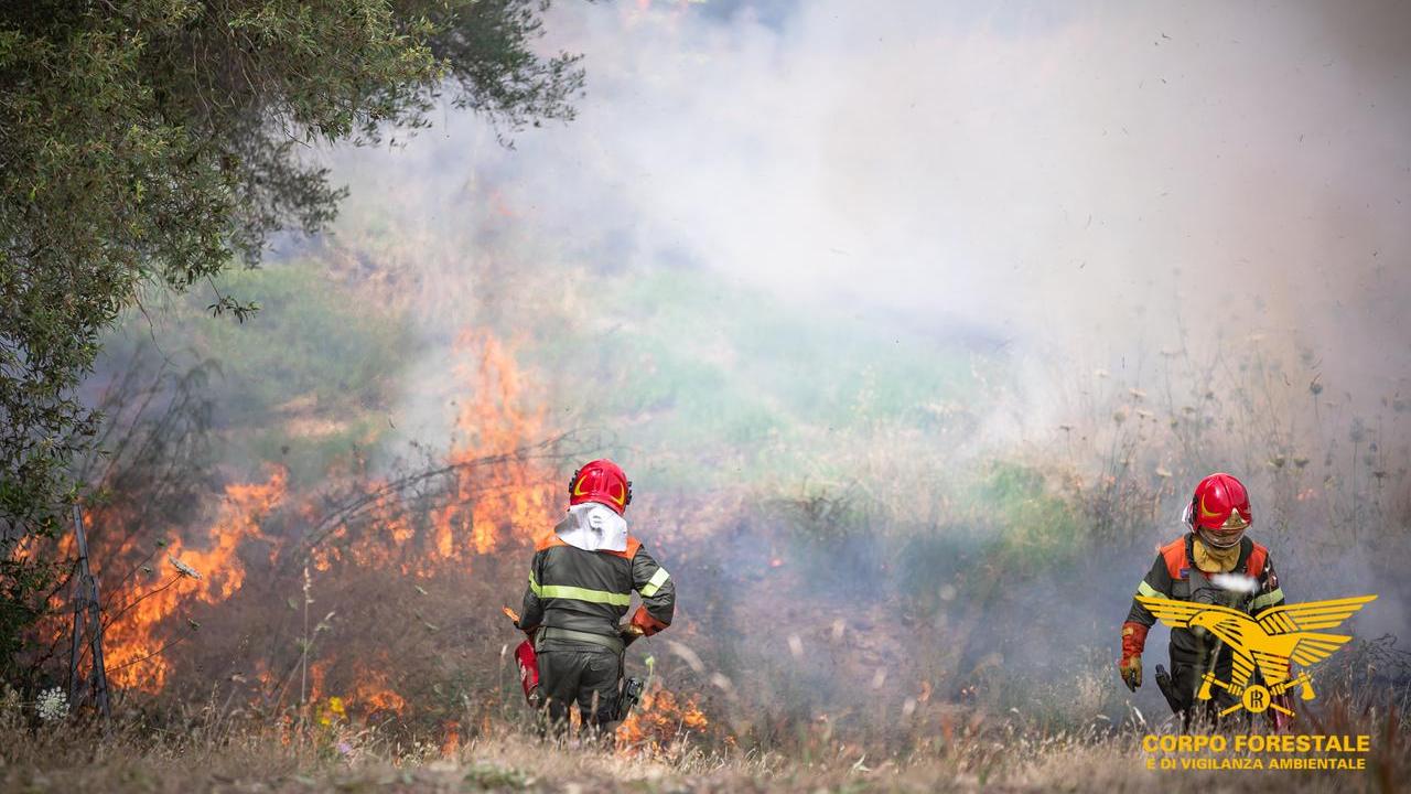 L'intervento del corpo forestale a Ovodda