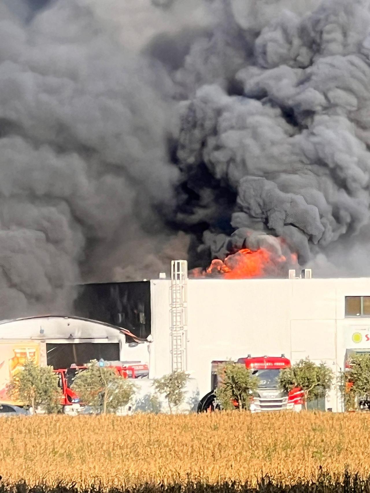 Cabras, fiamme a Sa Marigosa: pesante la conta dei danni