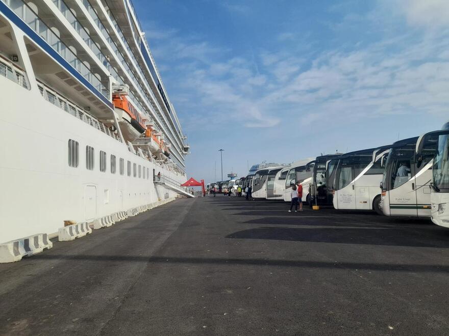 Bus delle crociere, giugno da record a Livorno: «Siamo tornati ai livelli pre-Covid»