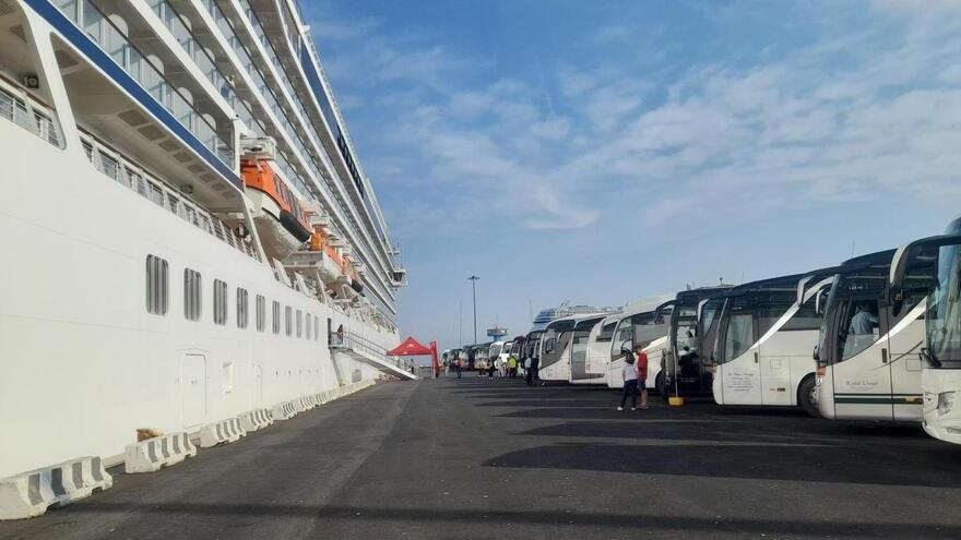 Bus delle crociere, giugno da record a Livorno: «Siamo tornati ai livelli pre-Covid»
