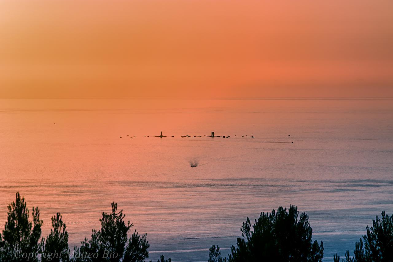 Livorno e il suo tramonto rosa visto da Montenero alto: buon sabato da Matteo