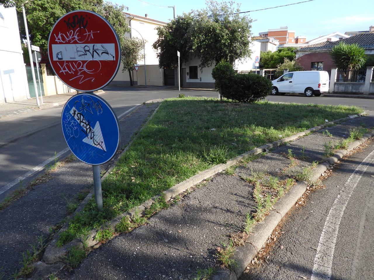 
	Un'aiuola in via Campanelli&nbsp;a Oristano

