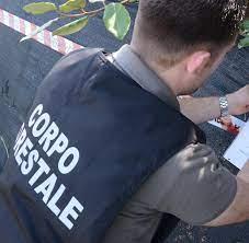 La forestale sequestra due cantieri edili a Olbia e Arzachena