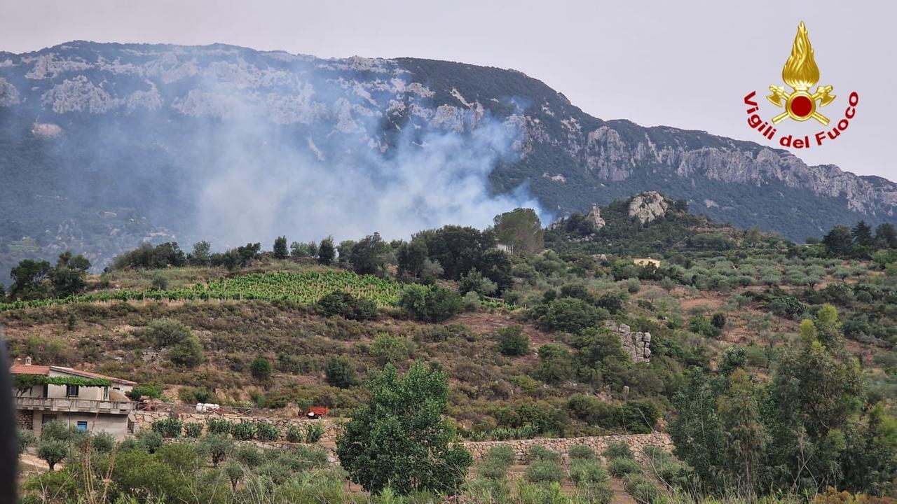 
	L'incendio nelle campagne di Dorgali

