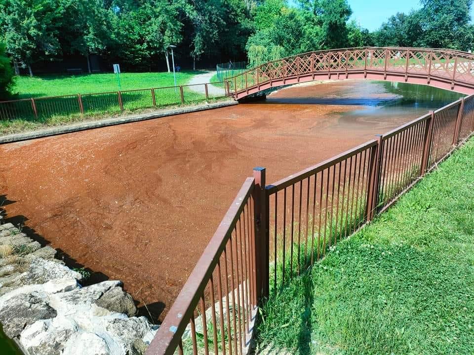Castelnuovo, iI lago del parco si colora di rosso: colpa di un’alga, Arpae in campo