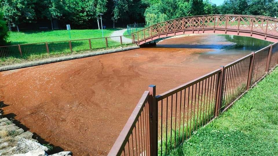 Castelnuovo, iI lago del parco si colora di rosso: colpa di un’alga, Arpae in campo