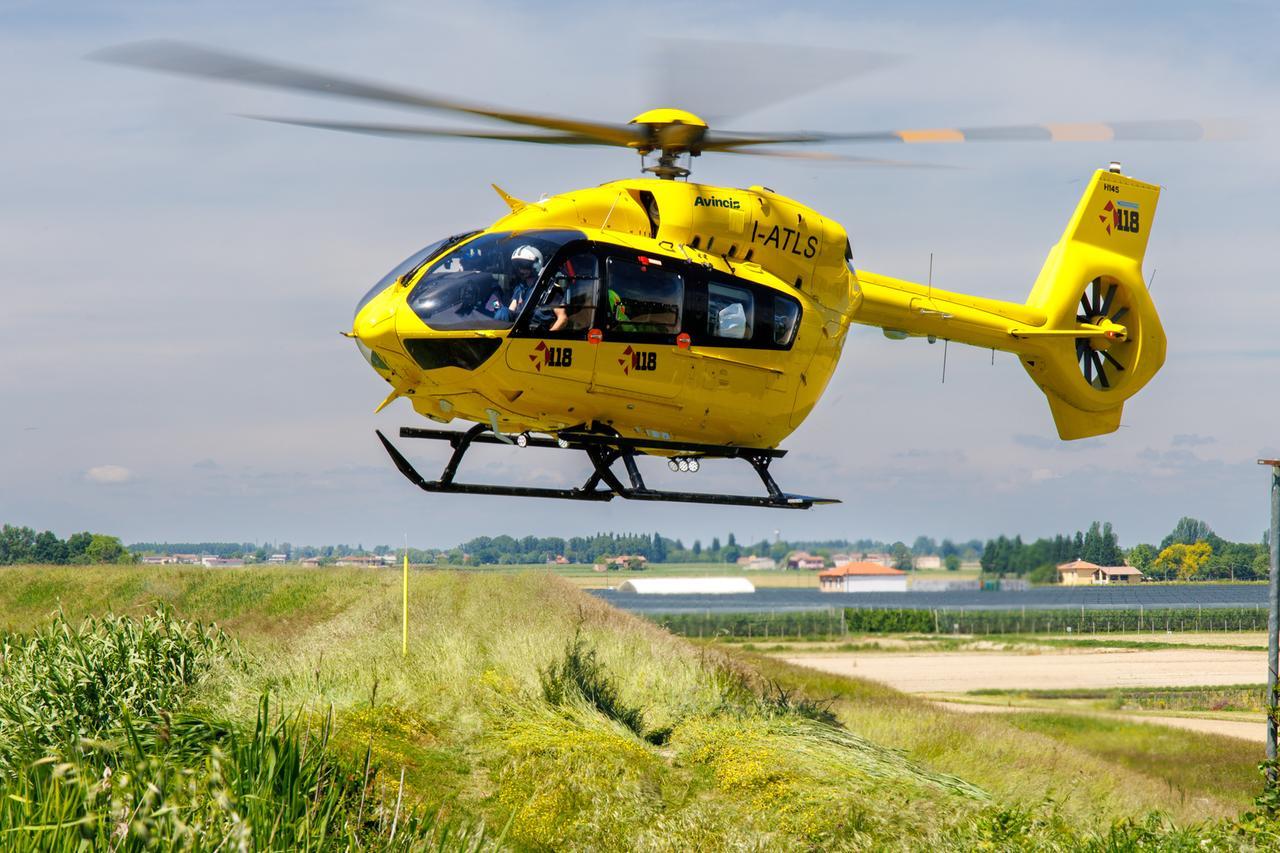 Codigoro, brucia il formicaio e si ustiona