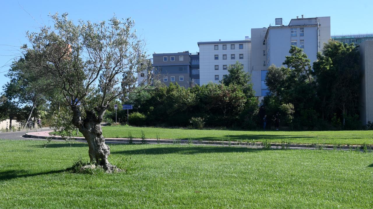 L'ospedale San Martino