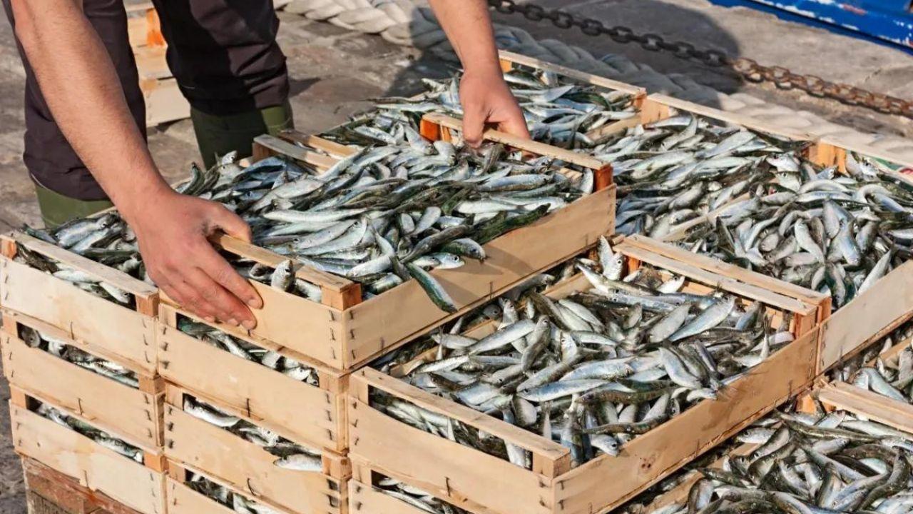 Pesce al ristorante, chiusi due locali in Toscana e pescatori multati: tutti i casi e le motivazioni