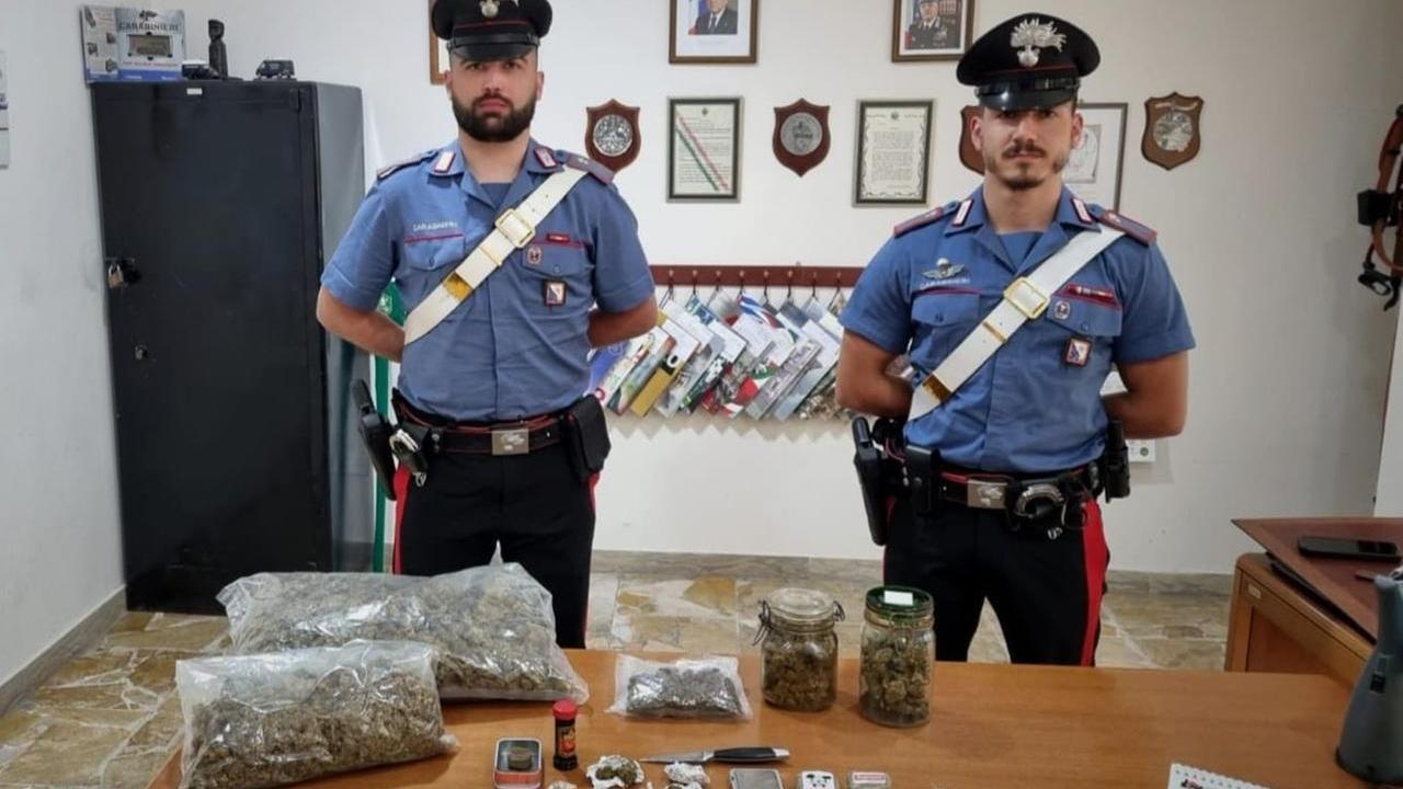 Controlli antidroga a Guspini e a Villamassargia: 2 arresti, 3 chili di marijuana sequestrati