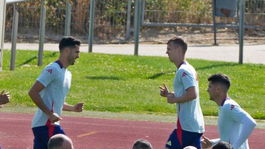 spagna europei calcio