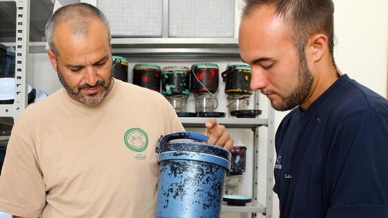 Comacchio, è tornato l’incubo delle zanzare