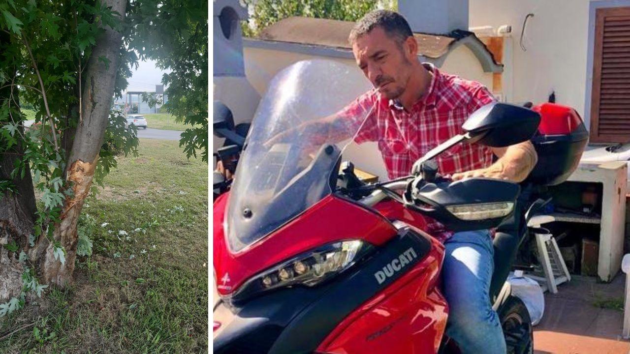 
	Massimiliano Grillo e l'albero contro cui &egrave; andato a sbattere in moto

