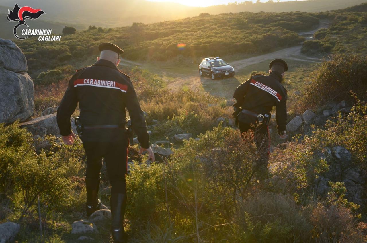 Coltivavano cannabis nelle campagne di Sinnai: un arresto e una denuncia