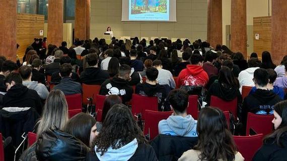 Unimore, dopo la laurea breve l’82% è occupato entro un anno