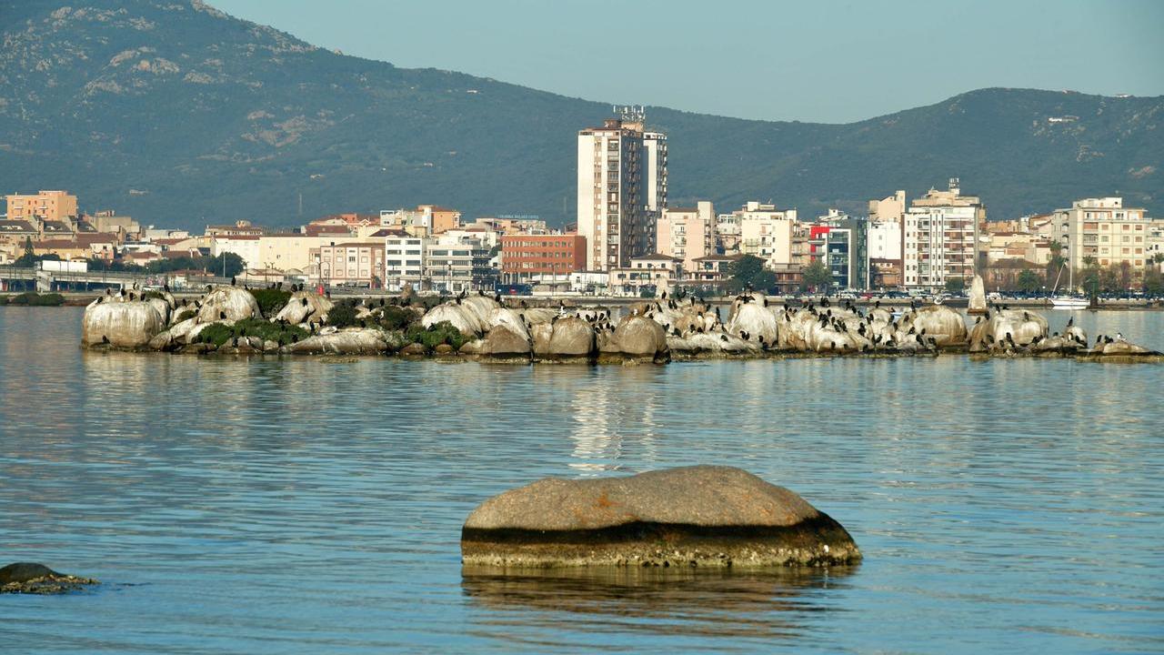 Olbia, i limiti allo skyline non convincono tutti: botta e risposta tra Corda e Monni