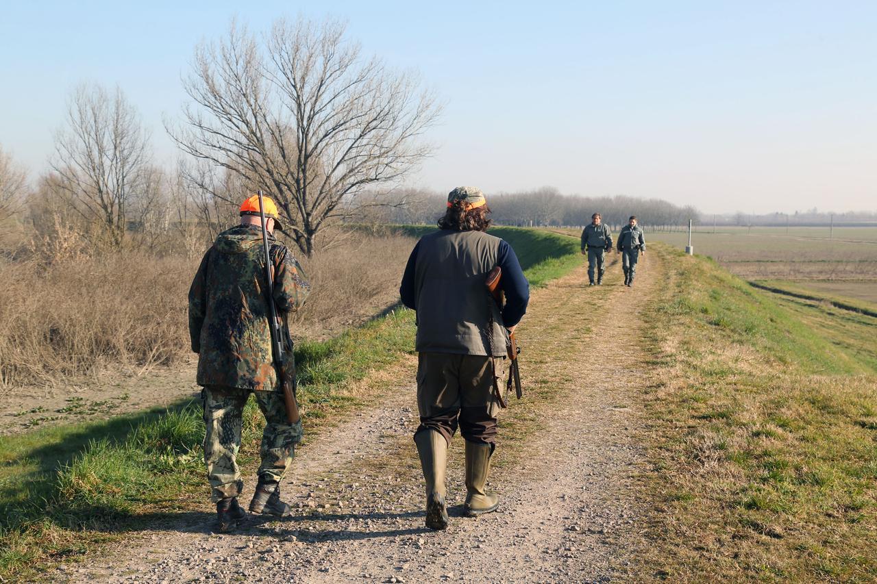 Carcasse di cinghiali nel Modenese: controlli anti-peste suina africana