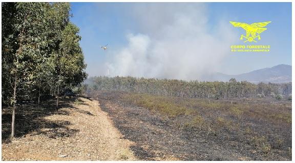 
	L'incendio a Zerfaliu

