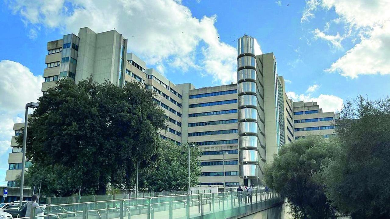 L’appello: «Salvate il Centro trapianti»