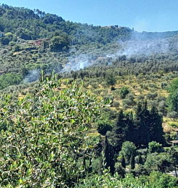 Buggiano, incendio nel bosco e paura per alcune case
