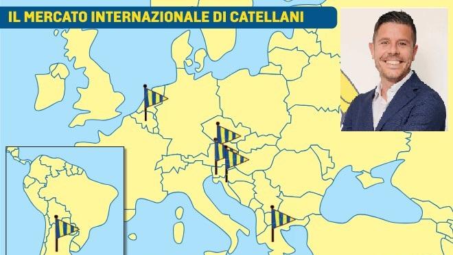 Il nuovo direttore sportivo Catellani alla ricerca di talenti: il suo è un Modena... europeo. E anche questa estate non si escludono sorprese<br type="_moz" />