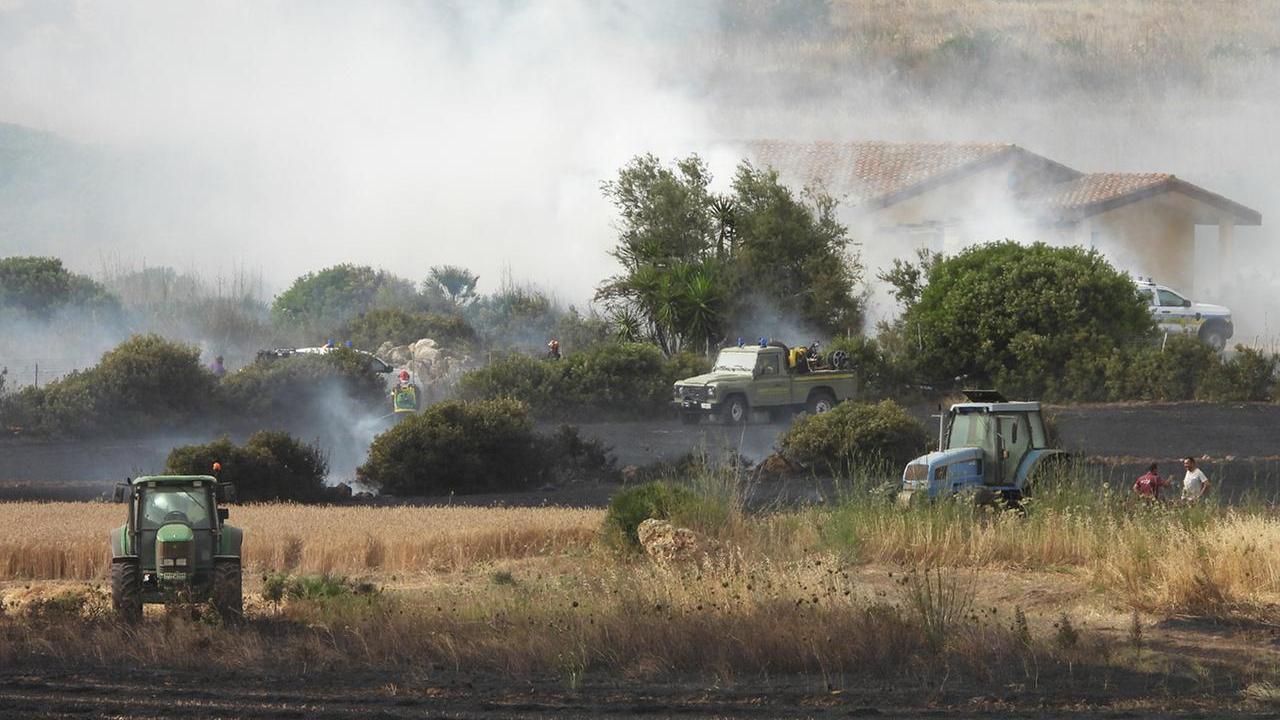 Fiamme tra Riola Sardo e San Vero Milis: a fuoco terreni da pascolo e macchia mediterranea