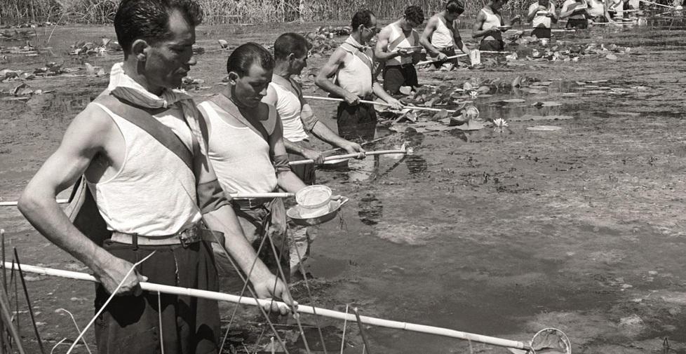 Malattie infettive da debellare: la Sardegna nel 1950 fece scuola 
