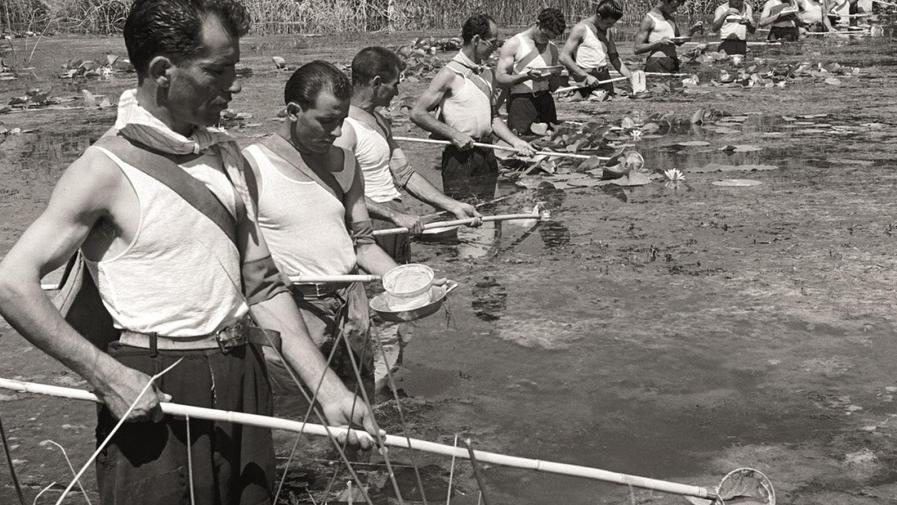 Malattie infettive da debellare: la Sardegna nel 1950 fece scuola