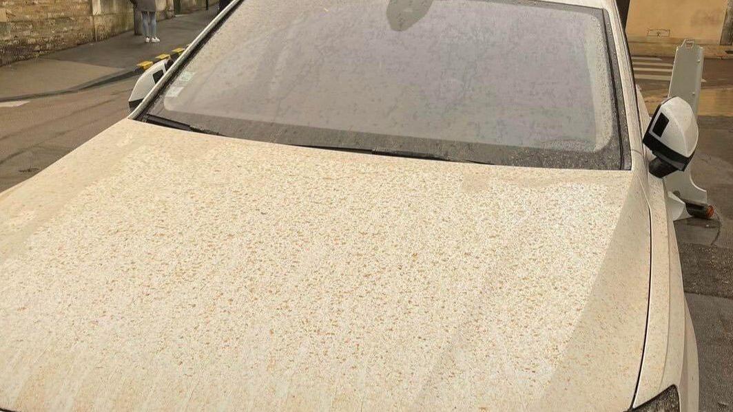 La polvere del deserto torna a Ferrara