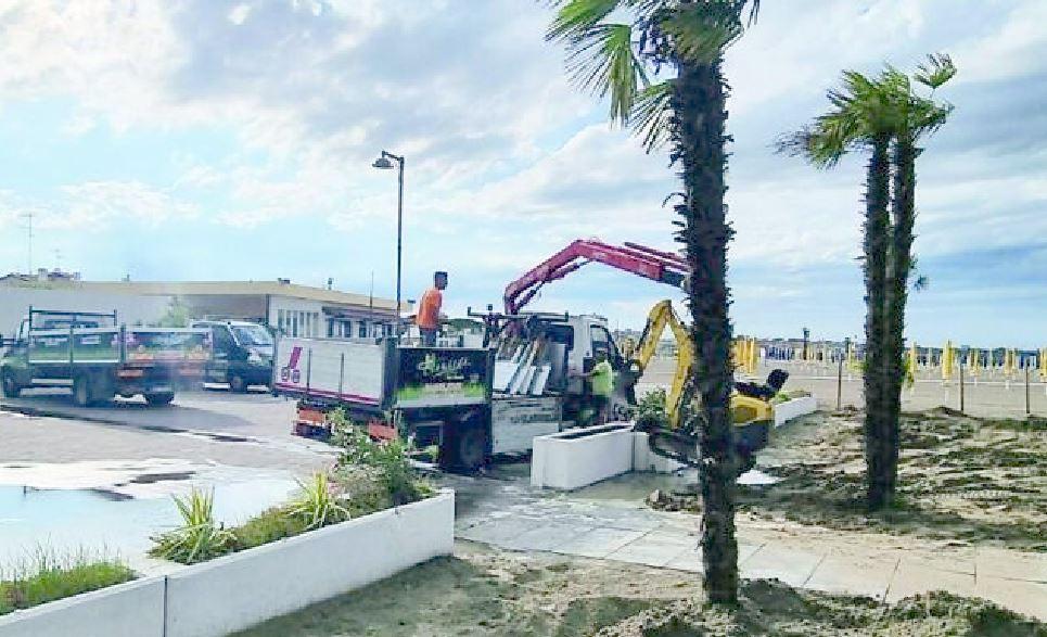 Porto Garibaldi, via le palme dal litorale: turisti e residenti increduli