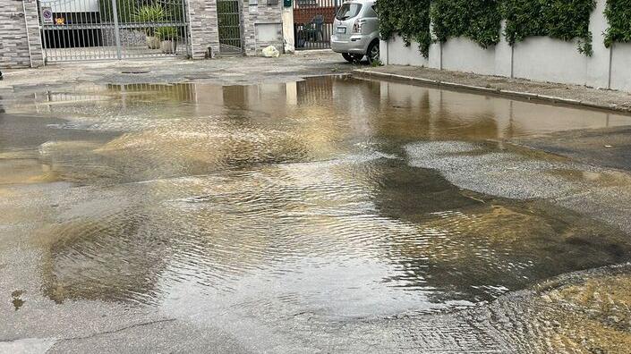 La perdita d'acqua (foto Franco Silvi)