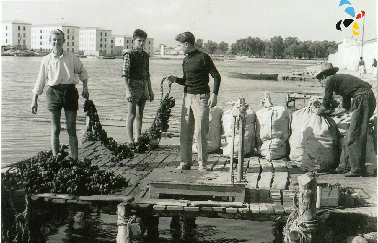 
	Mitilicoltori olbiesi in una foto d'epoca (archivio Bigi)

