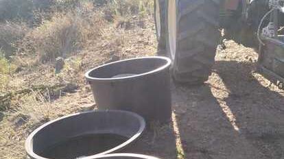 Siccità, Baronia in ginocchio: «Colleghiamo subito l’invaso del Liscia»