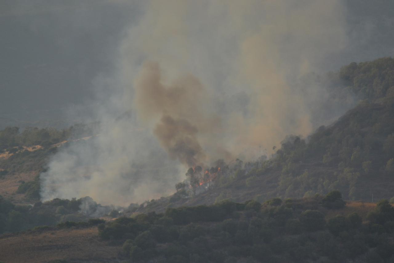 Incendi a Bottidda, Loiri, Arzana e Decimomannu: elicotteri leggeri e Superpuma in azione