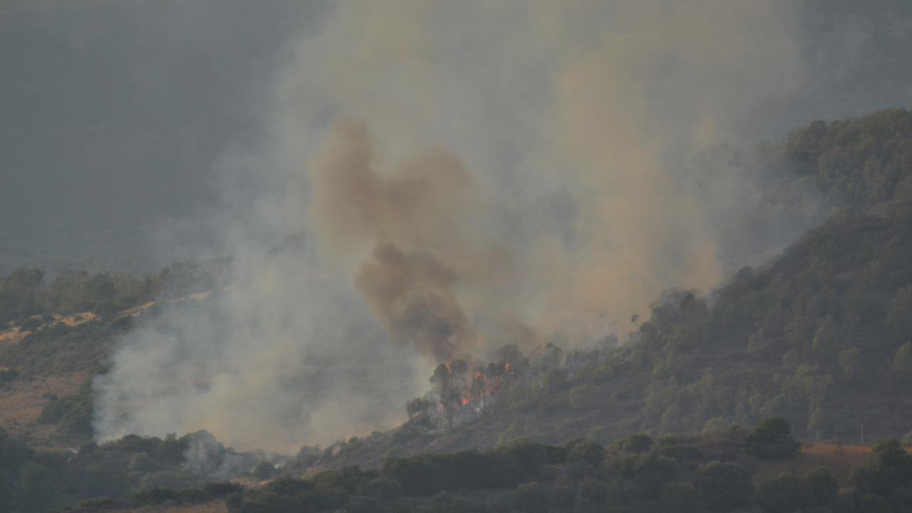 Incendi a Bottidda, Loiri, Arzana e Decimomannu: elicotteri leggeri e Superpuma in azione
