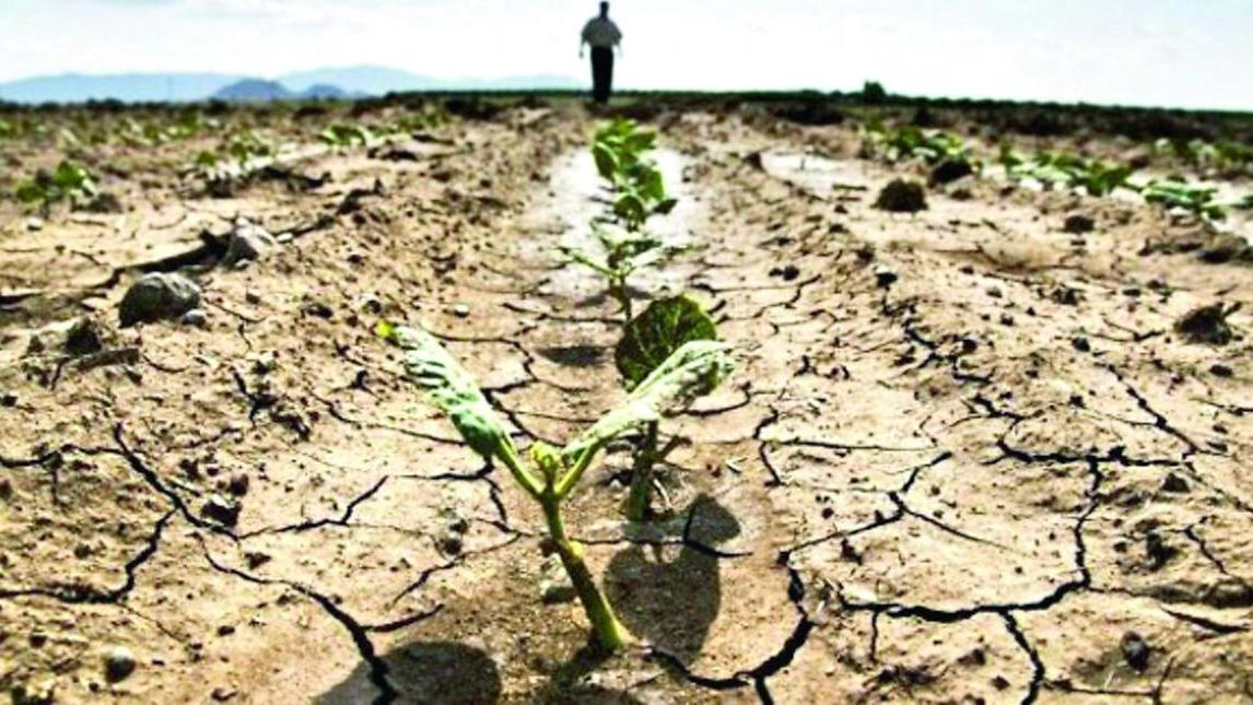 Anche l’Ogliastra è a secco: fronte comune contro la siccità