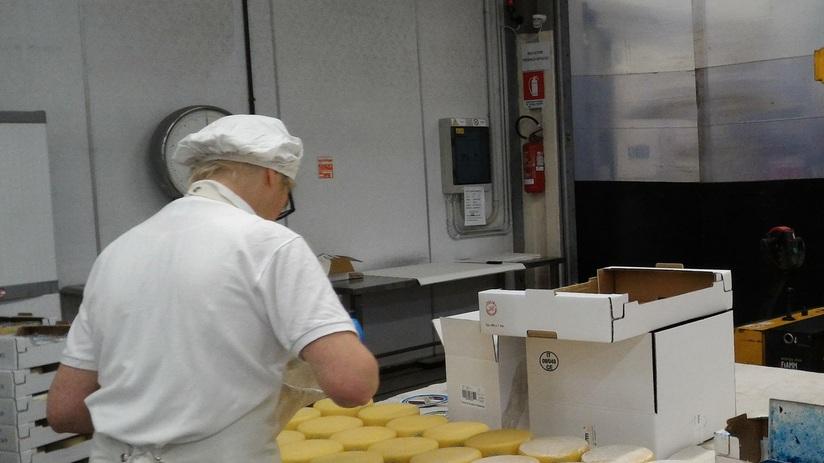 Caseificio Sociale a Manciano, rischio chiusura: «Quest’anno già perse 17 aziende»