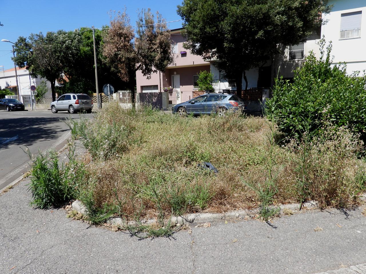 Oristano, slalom fra le erbacce: il Comune avvia il piano di diserbo
