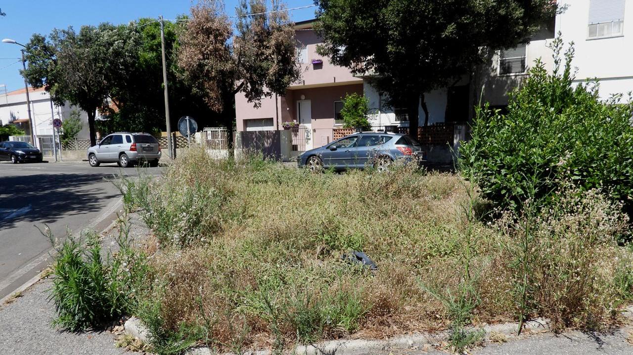 Oristano, slalom fra le erbacce: il Comune avvia il piano di diserbo