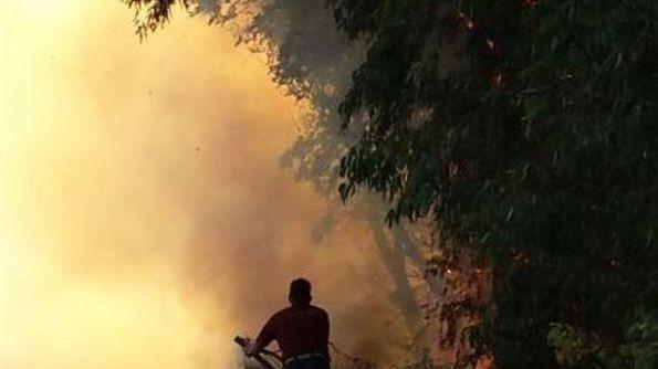 Traffico il tilt per un incendio di sterpaglie a bordo strada
