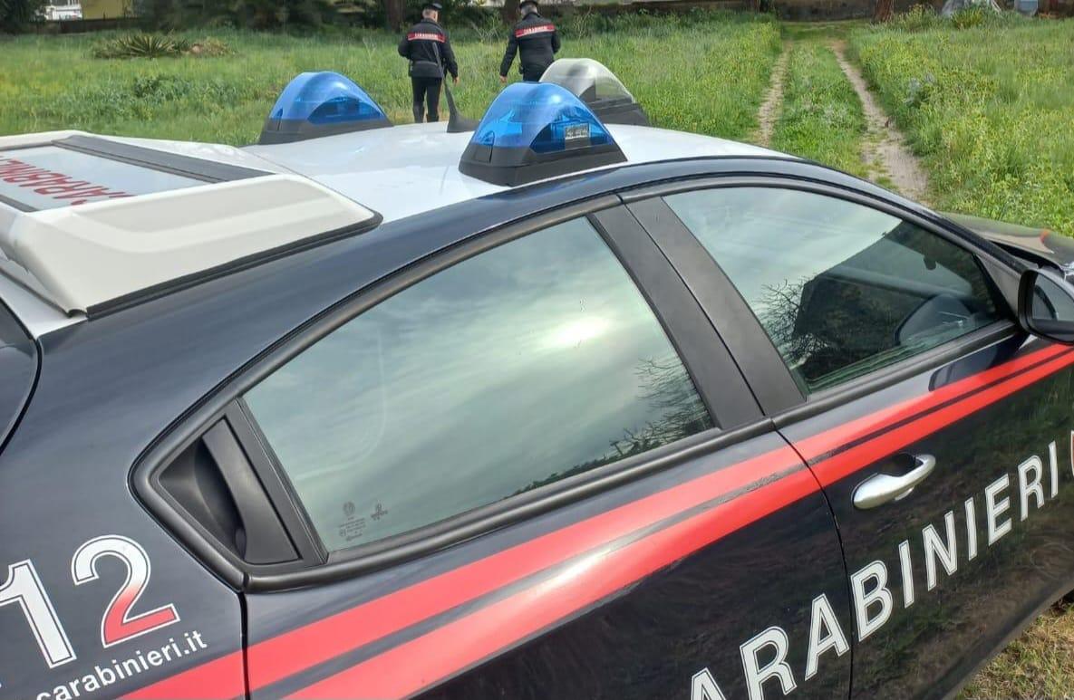 Sanluri, sorprende un ladro di meloni nel suo orto e lo prende a bastonate