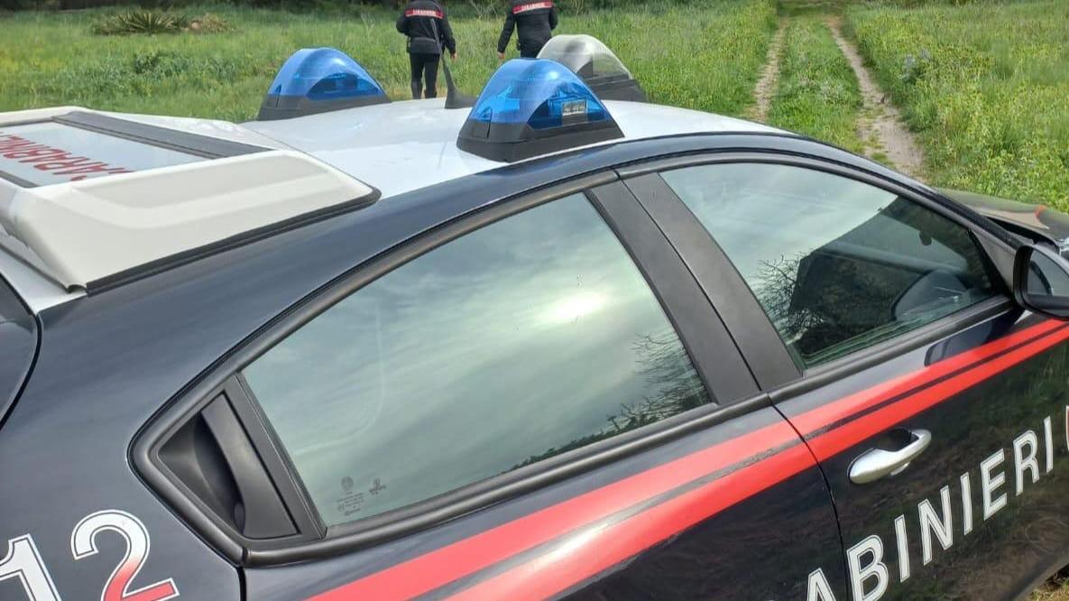 Sanluri, sorprende un ladro di meloni nel suo orto e lo prende a bastonate