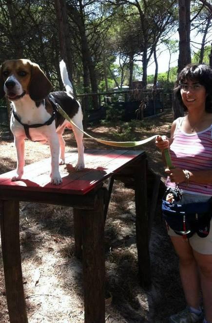 Domenica a Platamona in programma il “Dogs day”