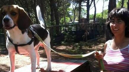 Domenica a Platamona in programma il “Dogs day”